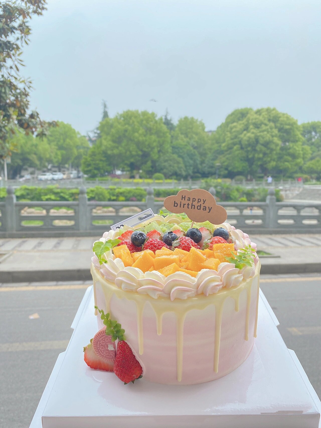 六寸女孩水果蛋糕