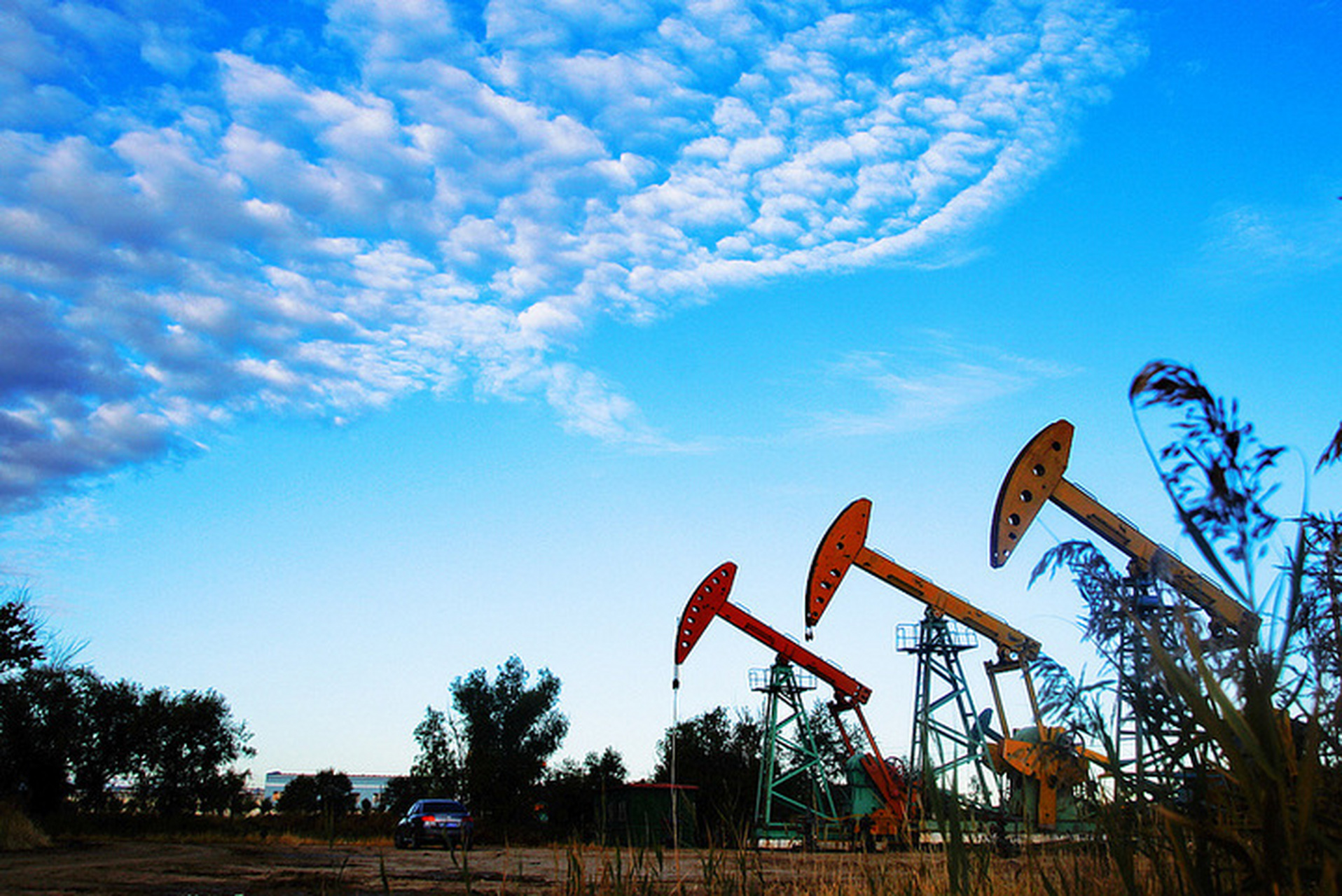 这里有丰富的景点等你来探索.下面是一些建议,帮助你更好地游玩大庆.