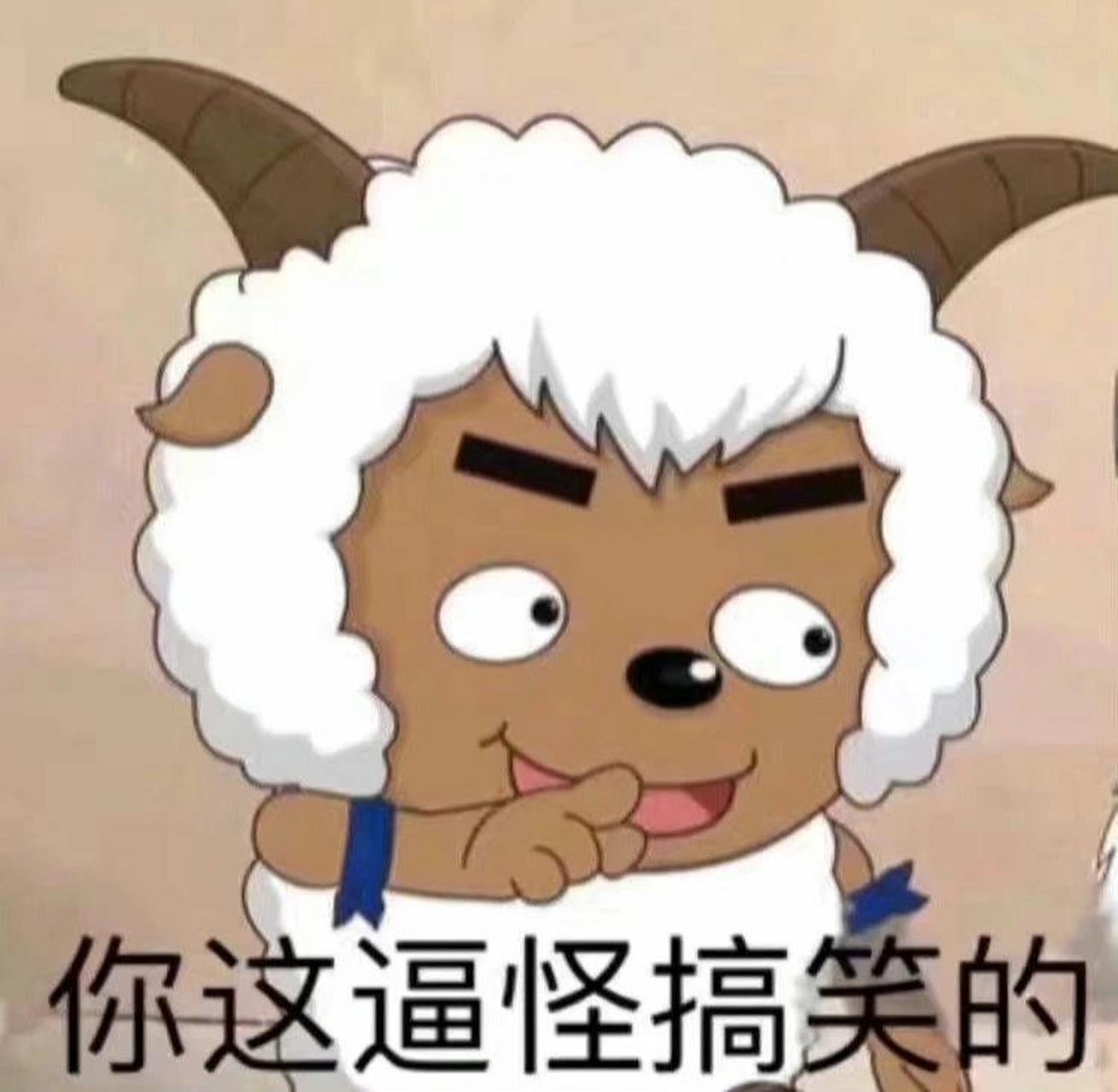 简直要被沸羊羊笑晕了吧 沸羊羊竟朝美羊羊弹鼻嘎哈哈哈哈哈哈哈哈哈