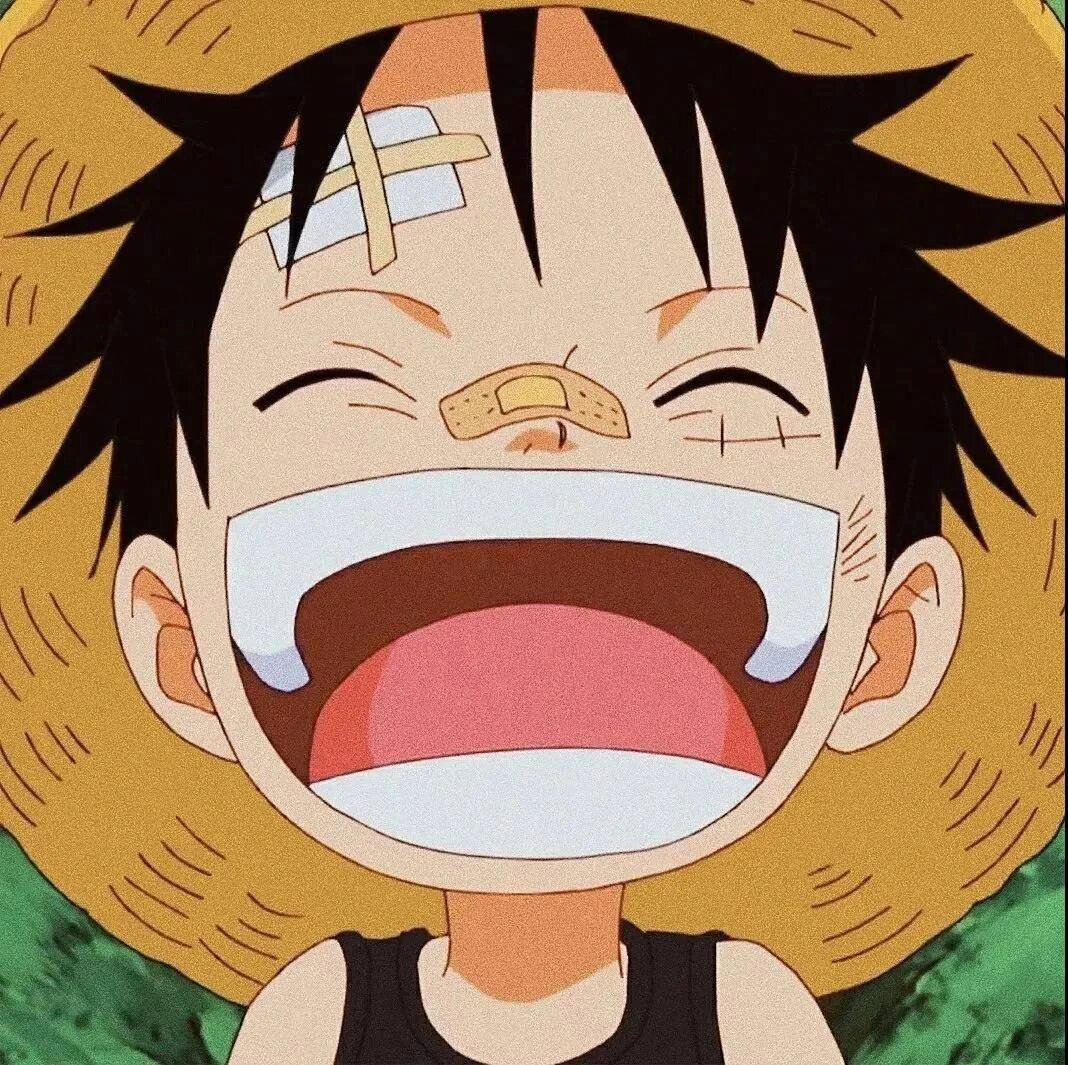 路飞可可爱爱的头像 #海贼王# #一起追过的海贼王# #航海王# #路飞