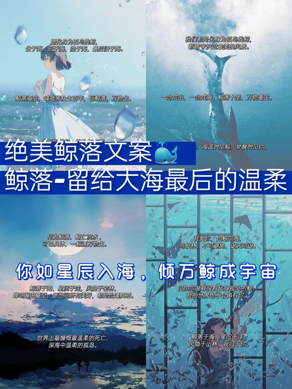 绝美的鲸落文案丨给大海最后的温柔