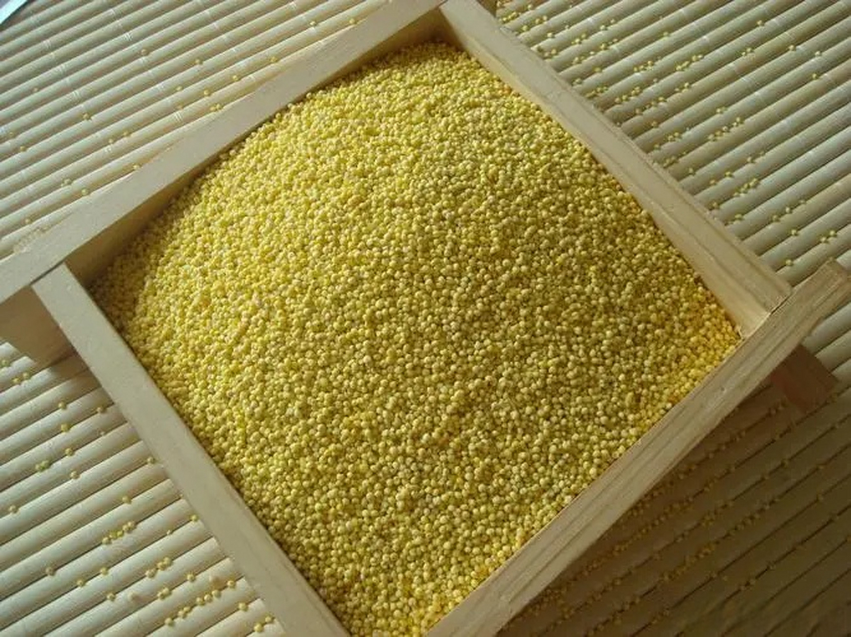 黑龙江农科院齐齐哈尔分院,对糜子(黍,稷)细菌性条斑病的防治药剂