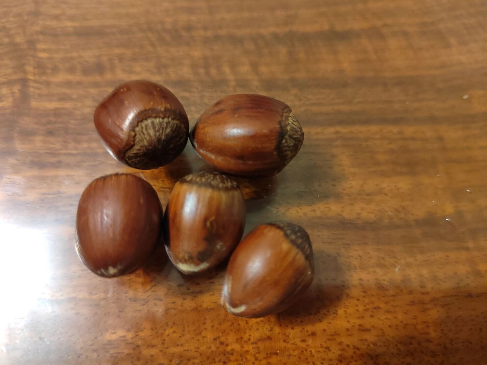 求助万能的粉丝:这个是橡子还是榛子啊,徬晚在街边小摊儿买的,吃起来