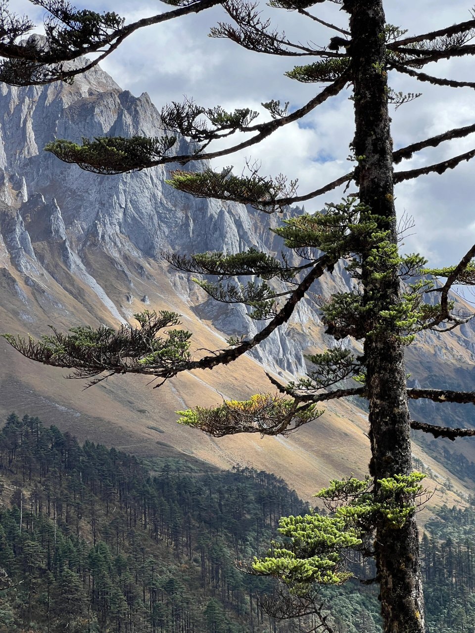 21孔雀山近景