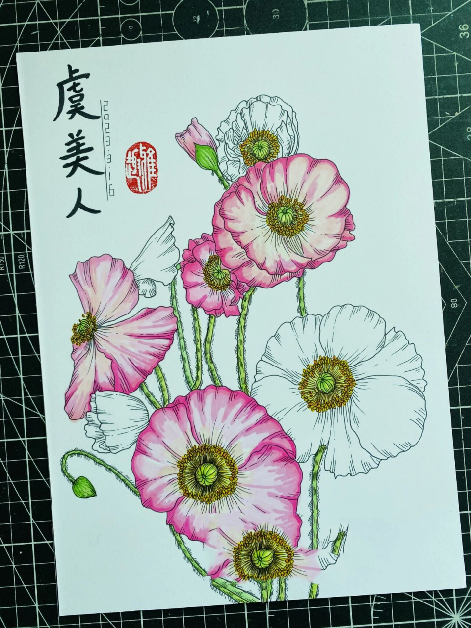 虞美人‖花卉线描‖马克笔【附过程】 虞美人花语:生死离别,中真守候