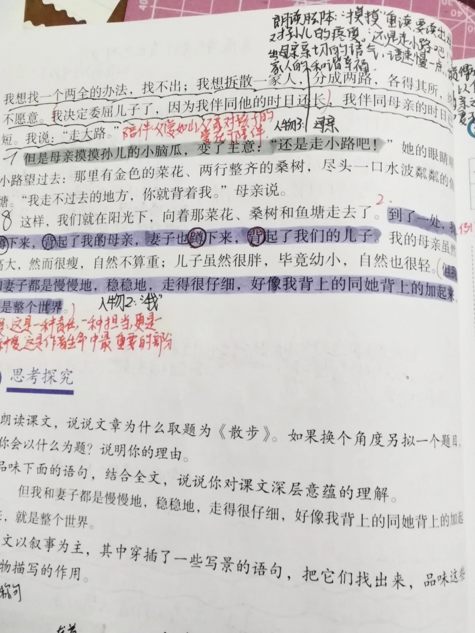 散步的笔记整理图片图片