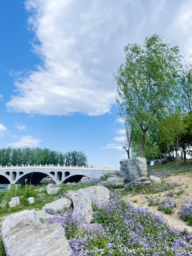 马家湾湿地公园你来了吗?