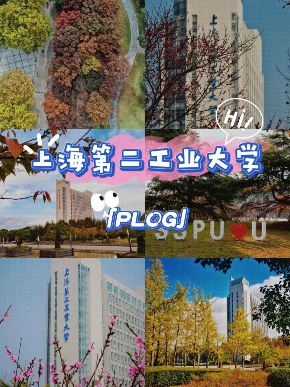 上海市第二工业大学(上海市第二工业大学地址)