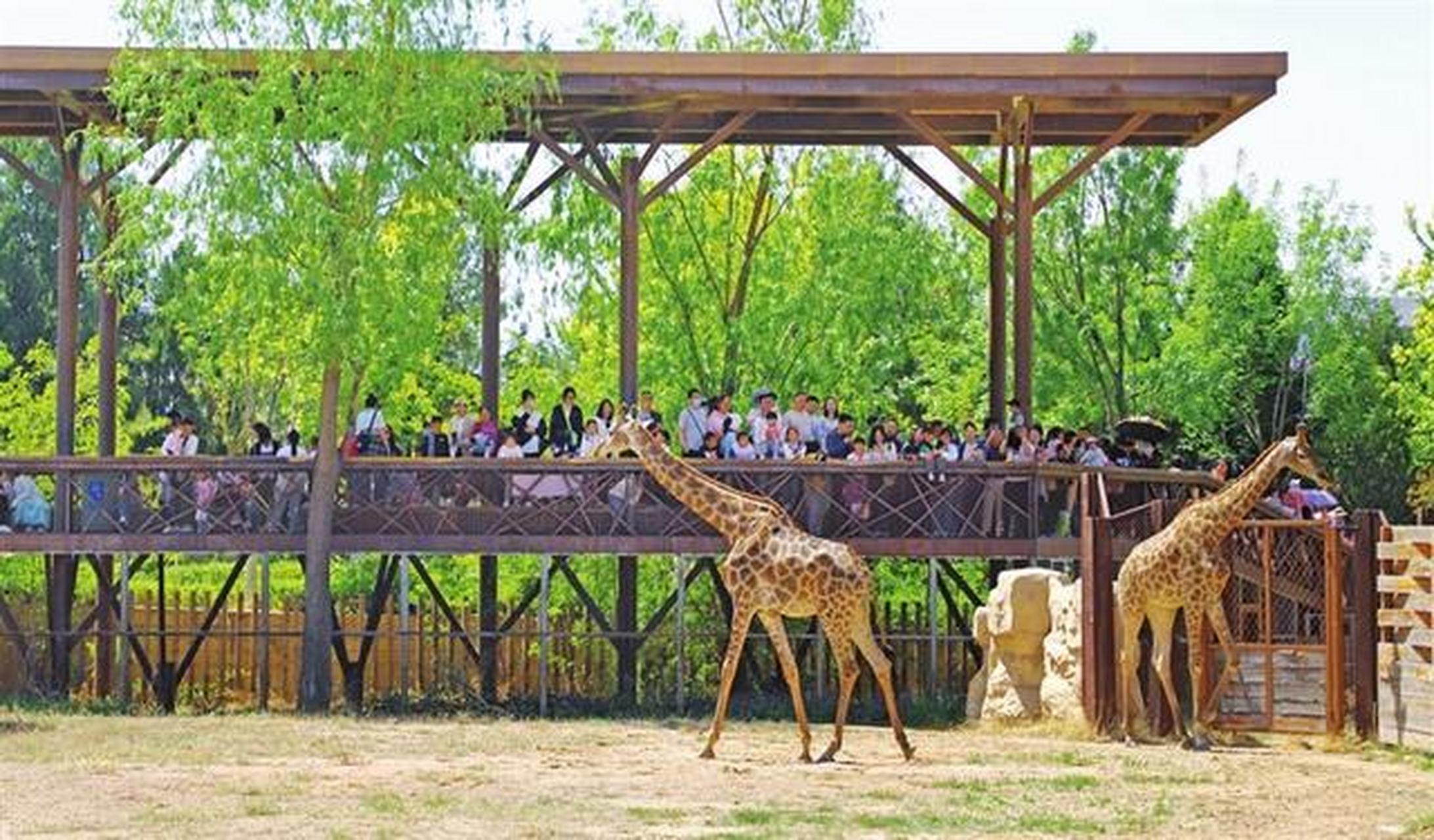 太原头条太原4月30日,在太原动物园,不少市民带领孩子游玩,观赏动物