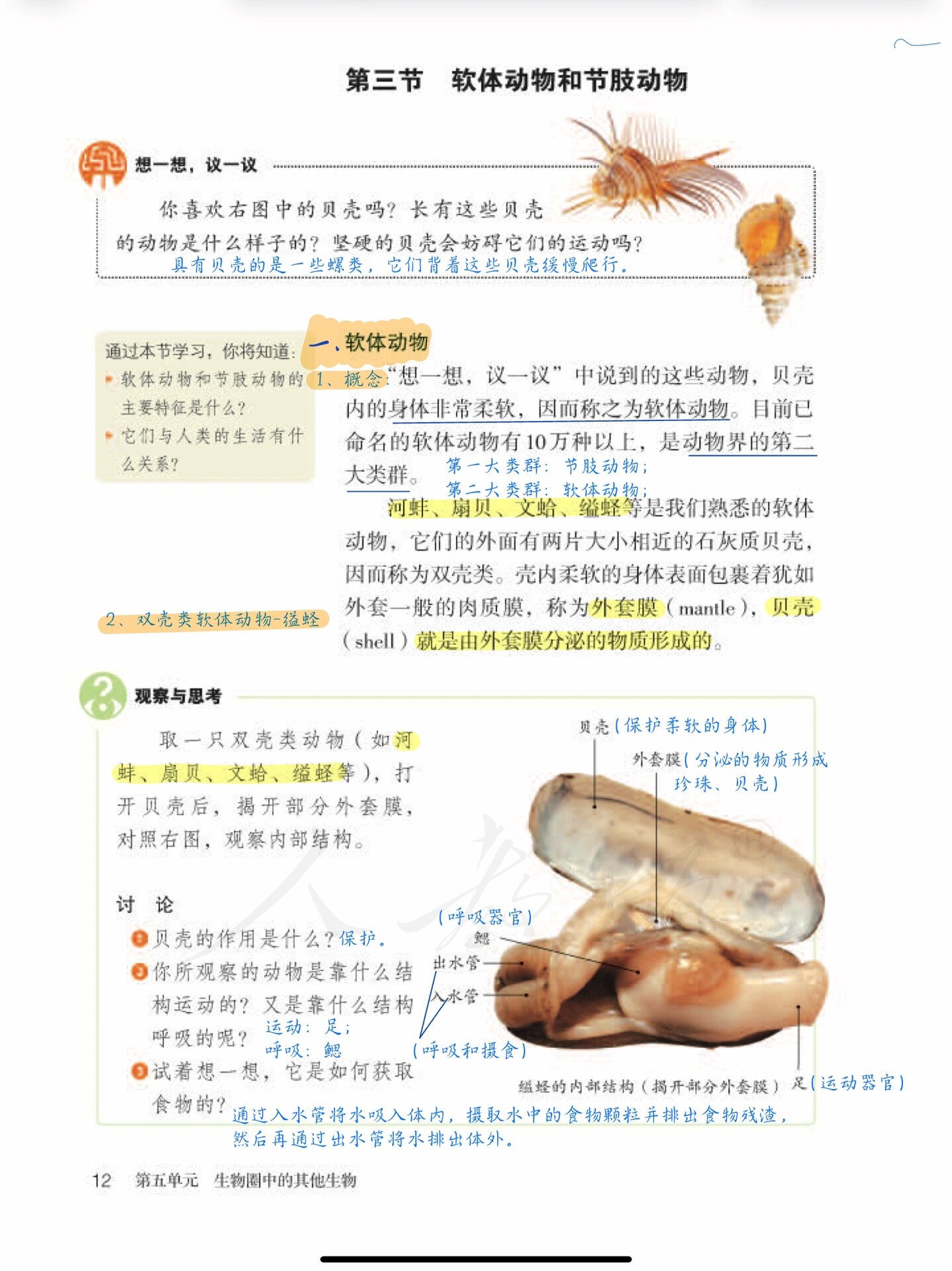 软体动物和节肢动物ppt，软体动物和节肢动物都有外骨骼吗
