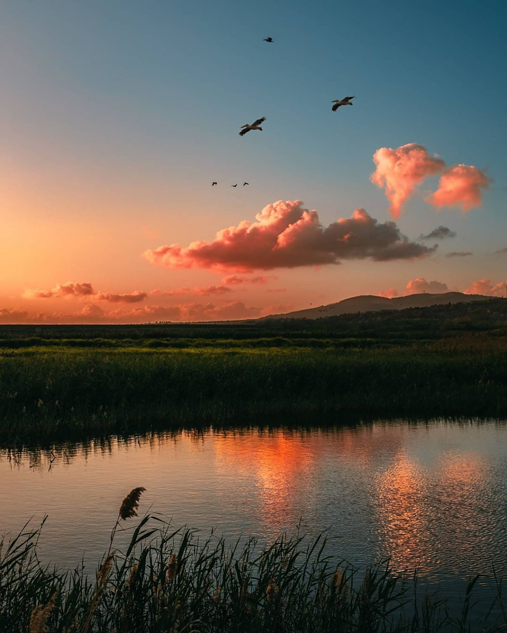 你的肉体只是时光,不停流逝的时光,你不过是每一个孤独的瞬息.