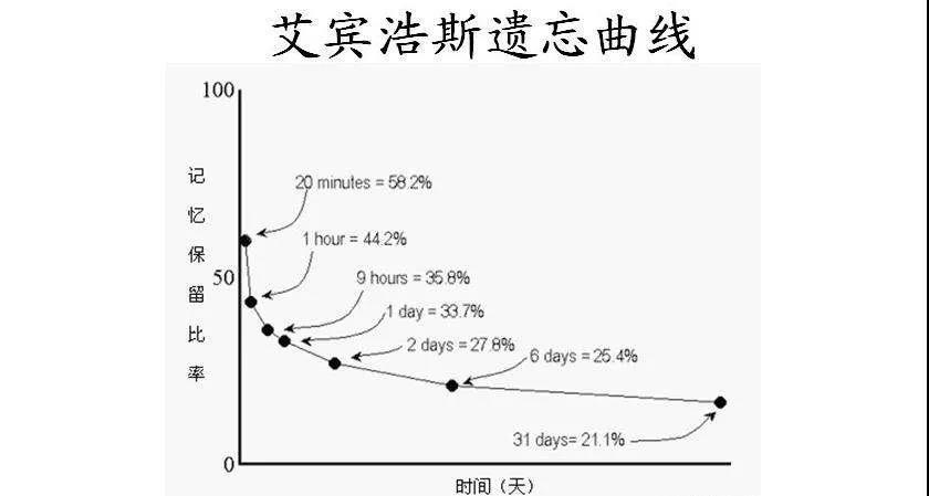 艾宾浩斯遗忘曲线骗局图片