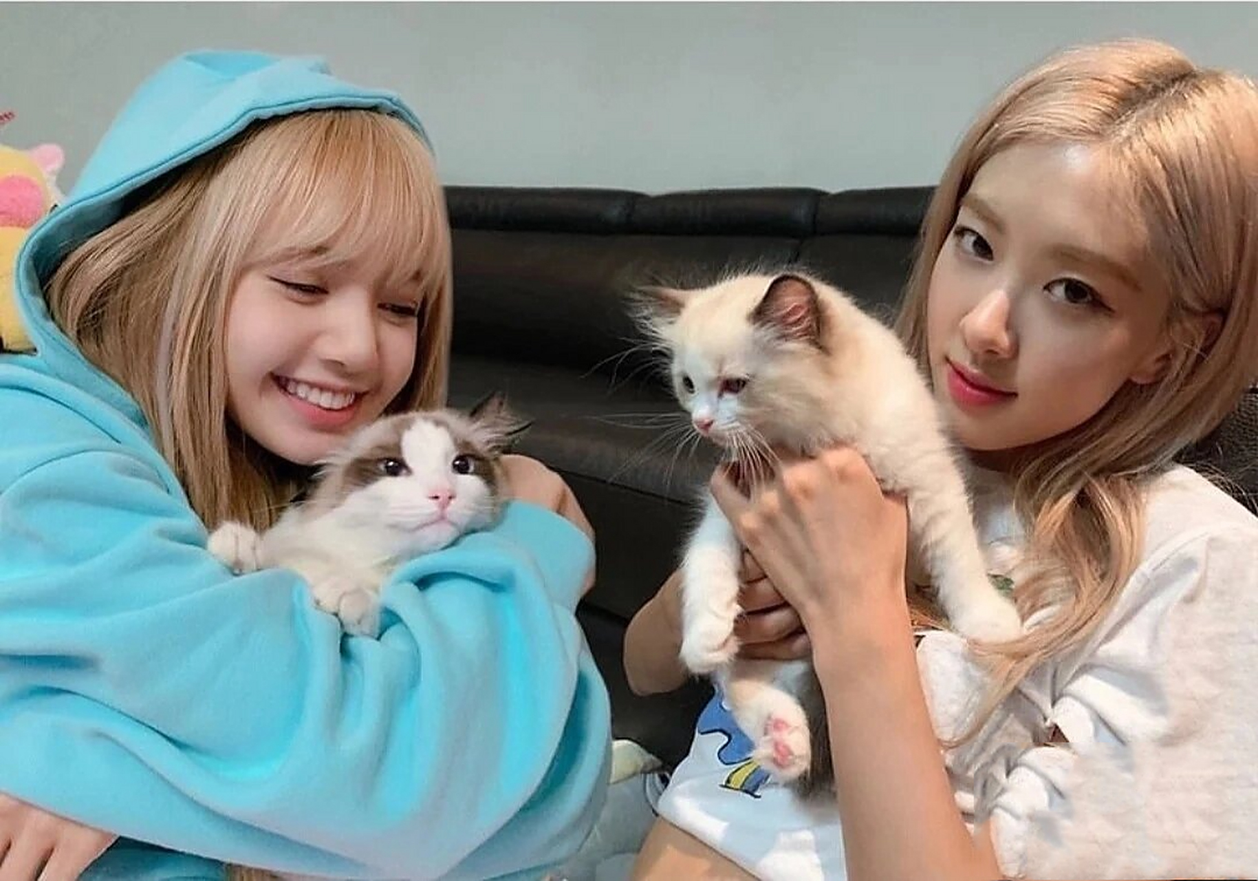 朴彩英和lisa的闺蜜头像rose和lisa ros07和lisa