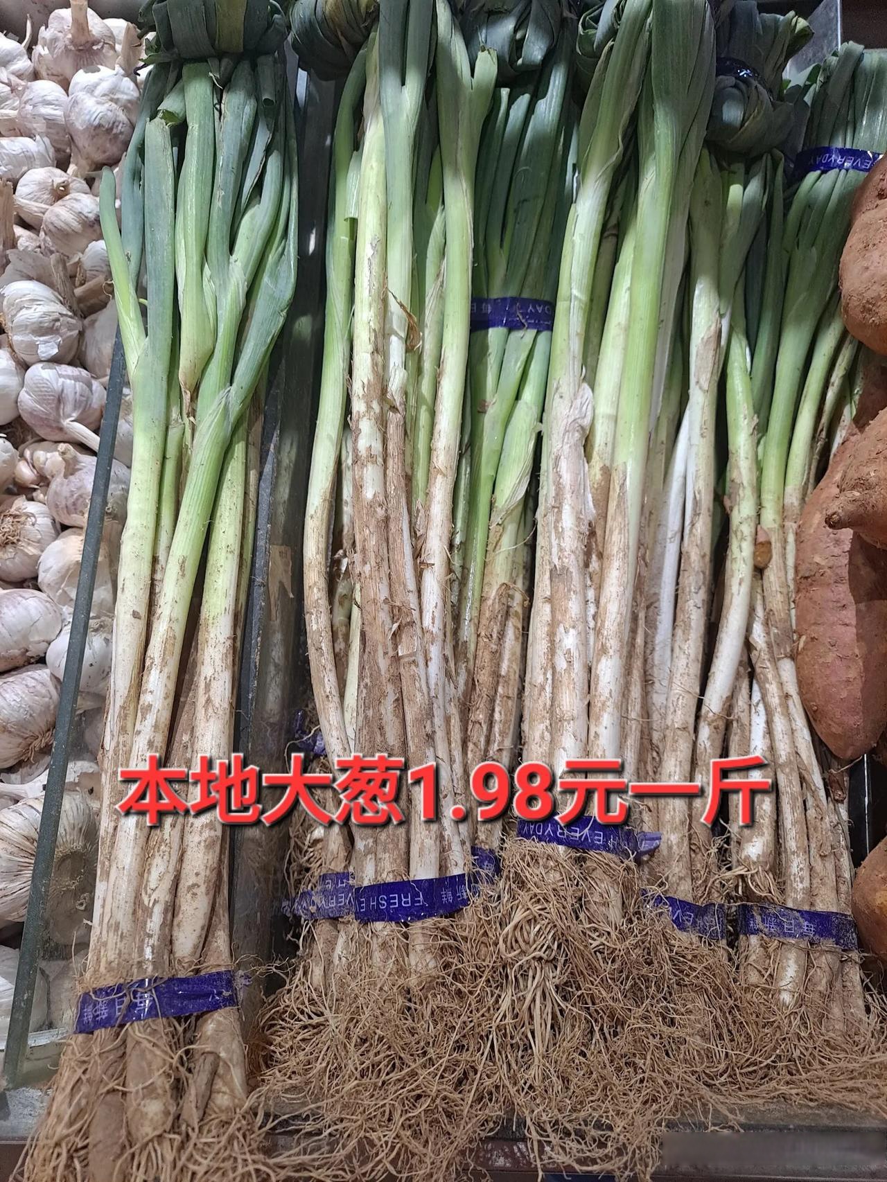 大头葱菜图片