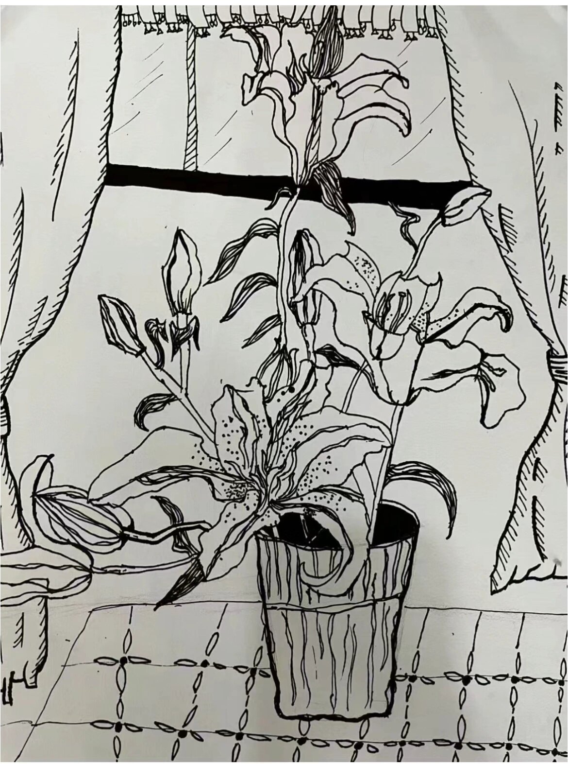 中国美术学院考级速写 5级范画分享