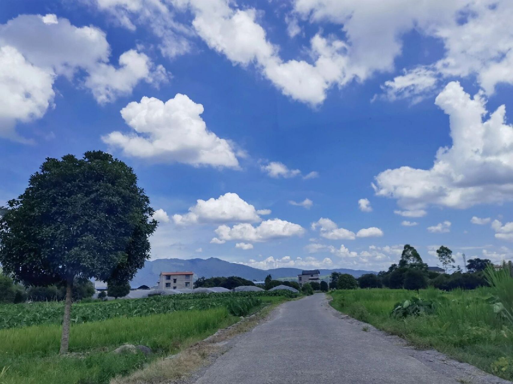 桂林夏日避暑圣地—临桂五通广福山景区 坐标:广西桂林市临桂区五通镇