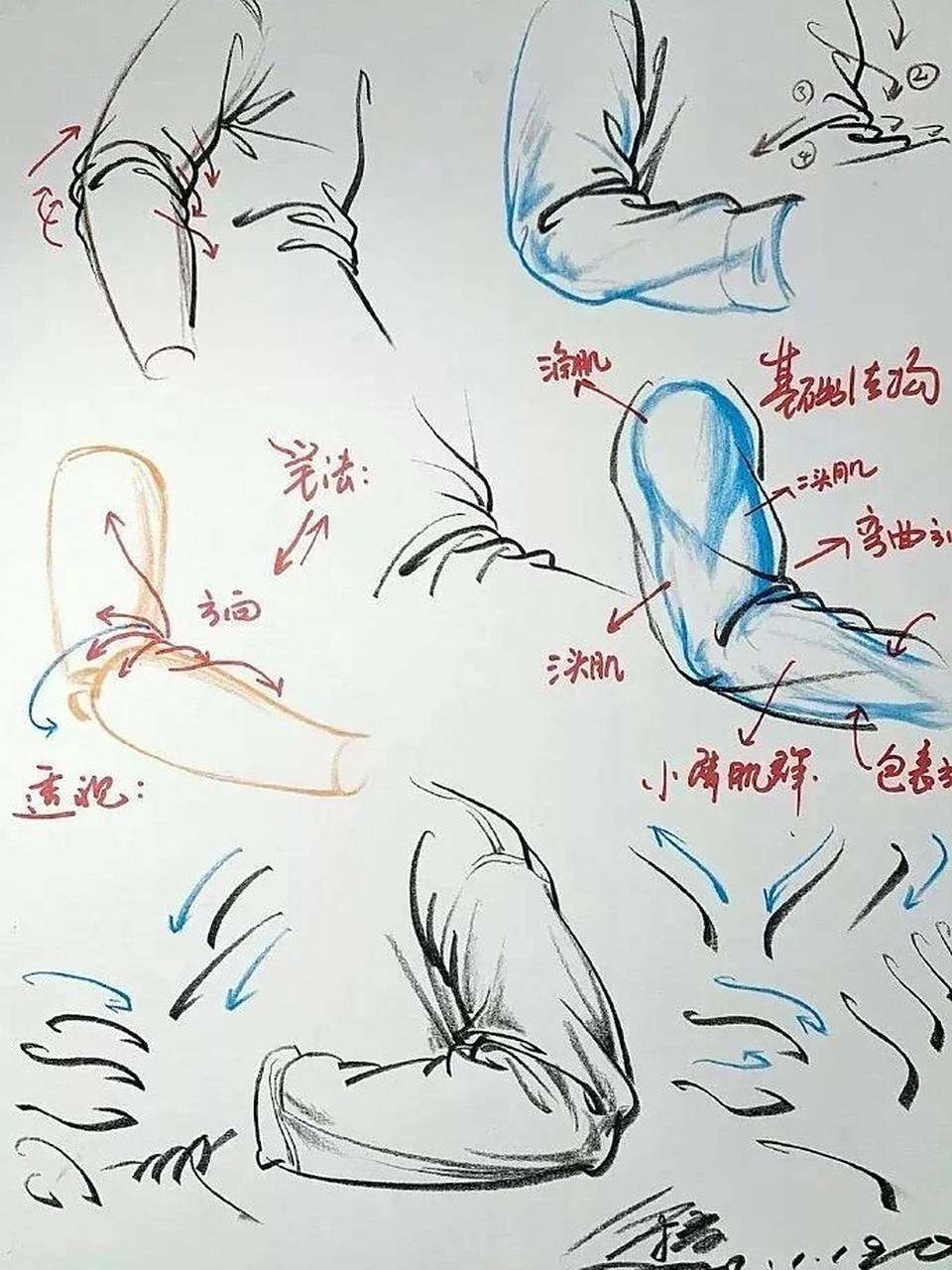 速写衣纹穿插规律图片