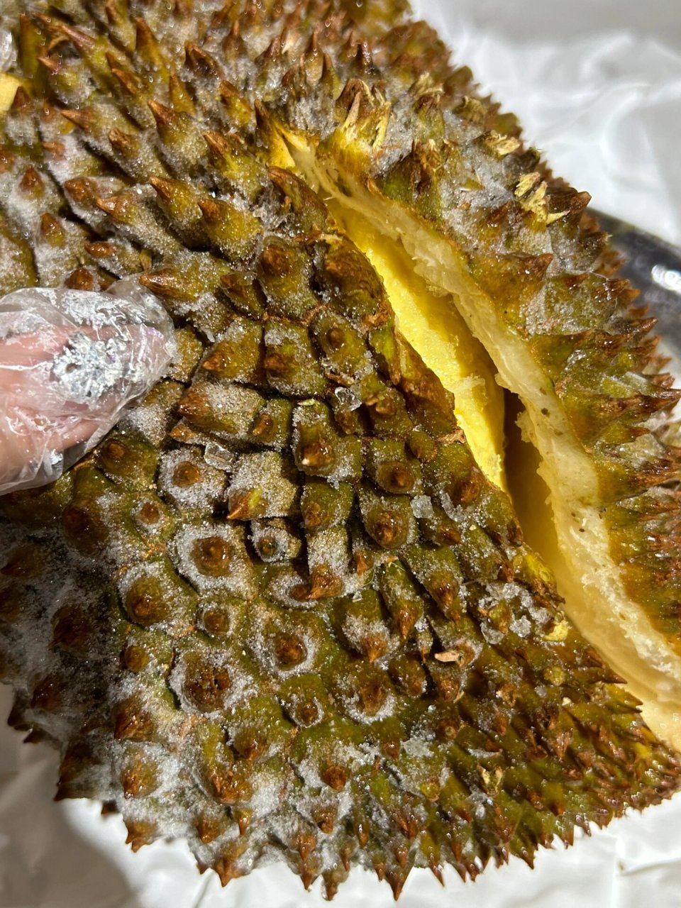 液氮金枕榴莲 ～当季新果 极速保鲜 品质保证 打开新鲜呈现 美味一点