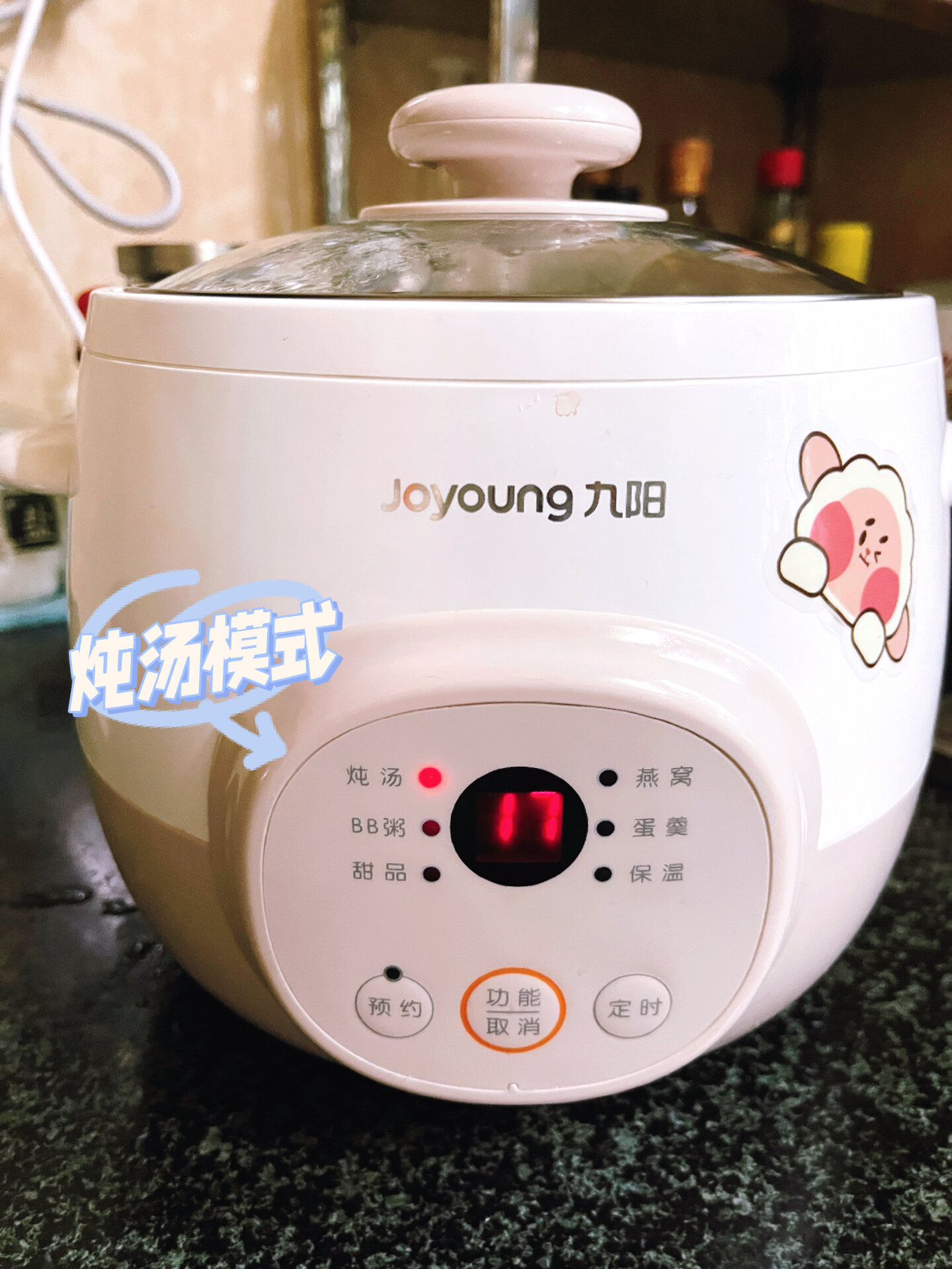 海底椰川贝瘦肉炖汤|滋阴润肺|化痰止咳