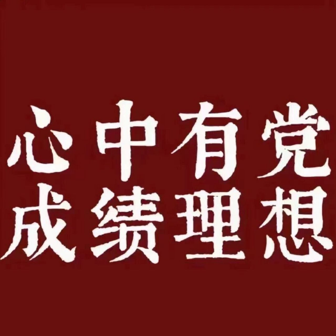 心中有党,成绩理想    心中有党,成绩理想