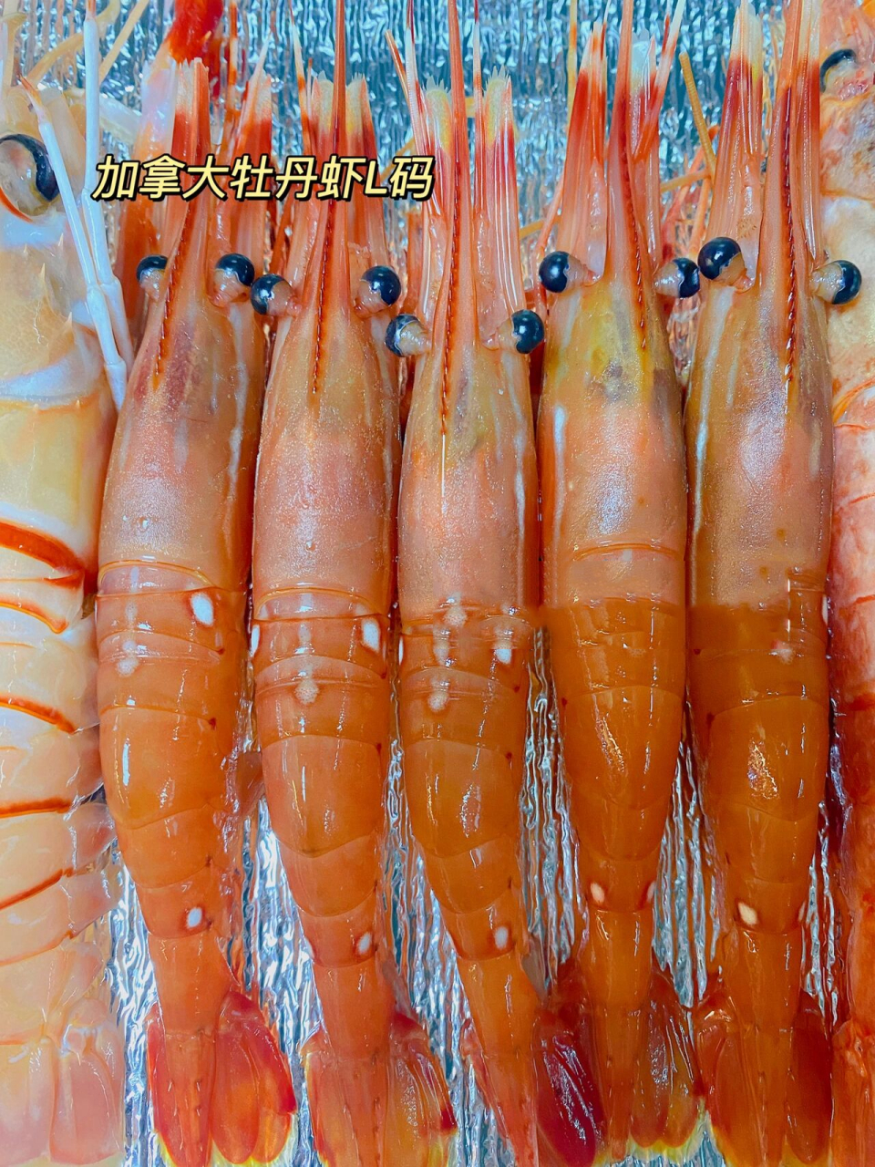 全虾宴08 实现刺身虾自由～ 2号新西兰海鳌虾 深海臻品 虾中瑜亮