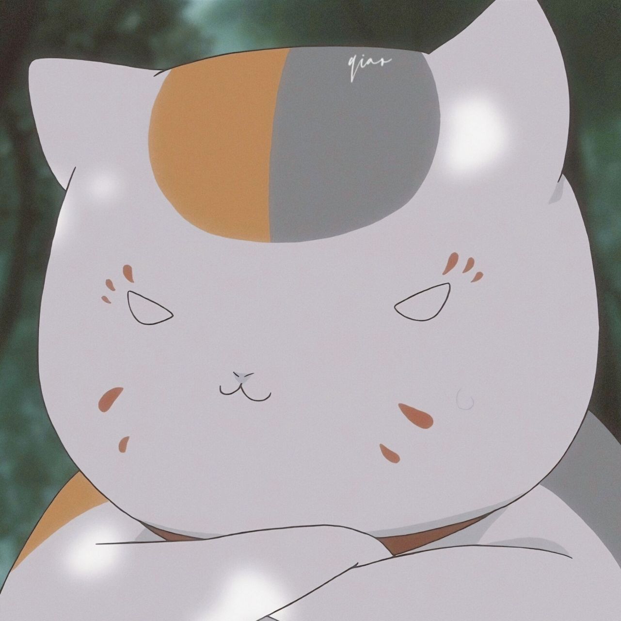 头像/猫咪老师/生气版 猫咪老师|自截调修|23.03.19 气死猫也!