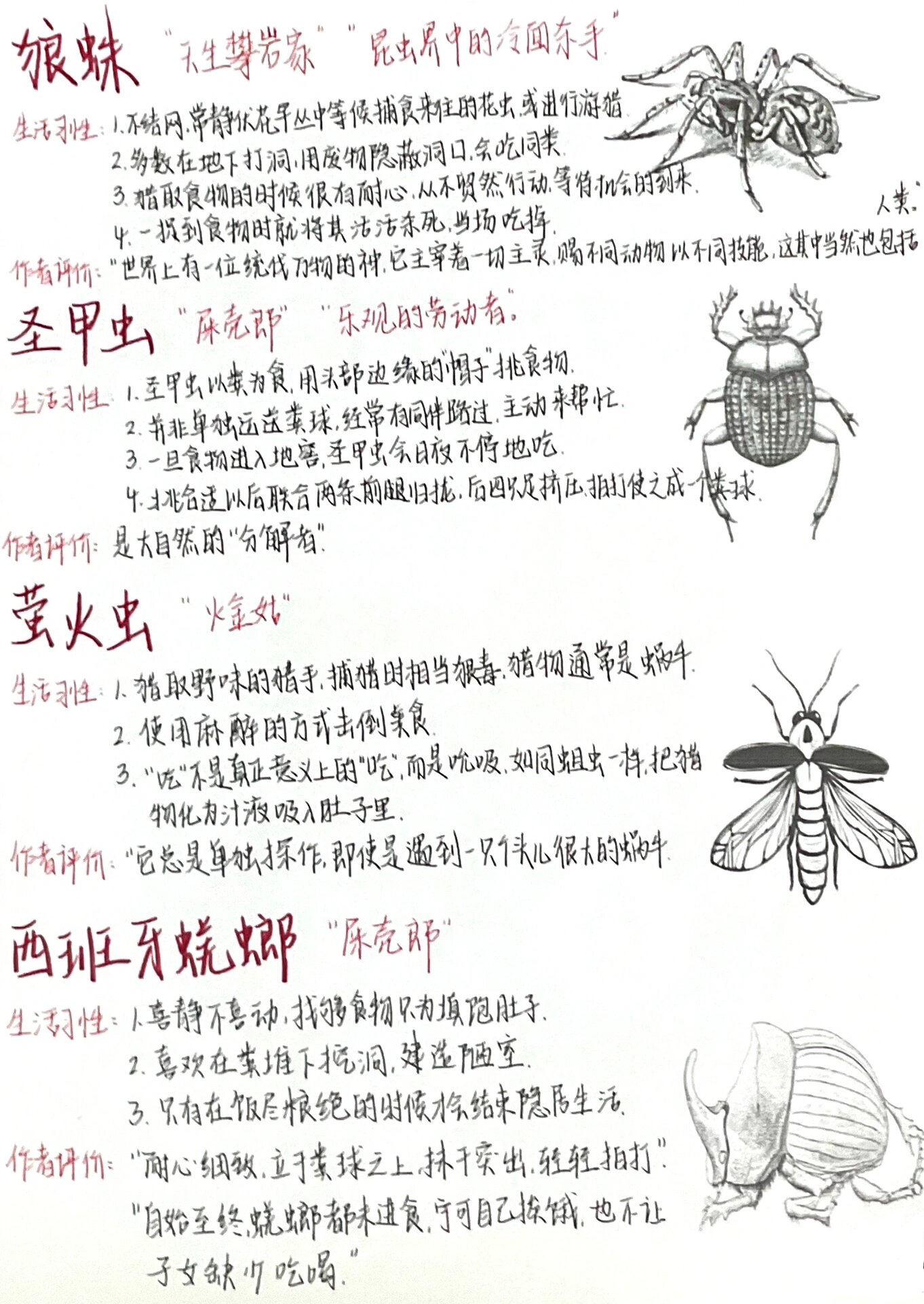 《昆虫记》昆虫档案