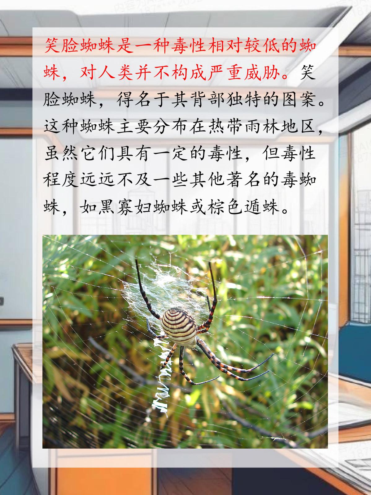 笑脸蜘蛛有毒吗