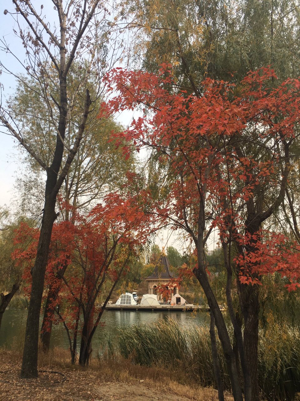 ——翠泉源 南三环和卫星路之间的翠泉源,帐篷林立