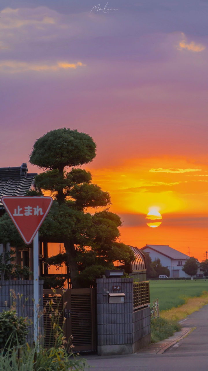 朋友圈文案|适合好久不发朋友圈的朋友~  1,目前状态:满脑子前途偶尔