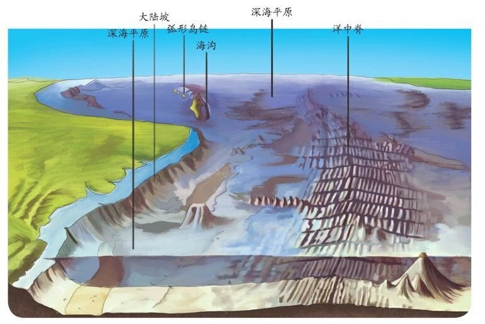 海湿地地形特点图片