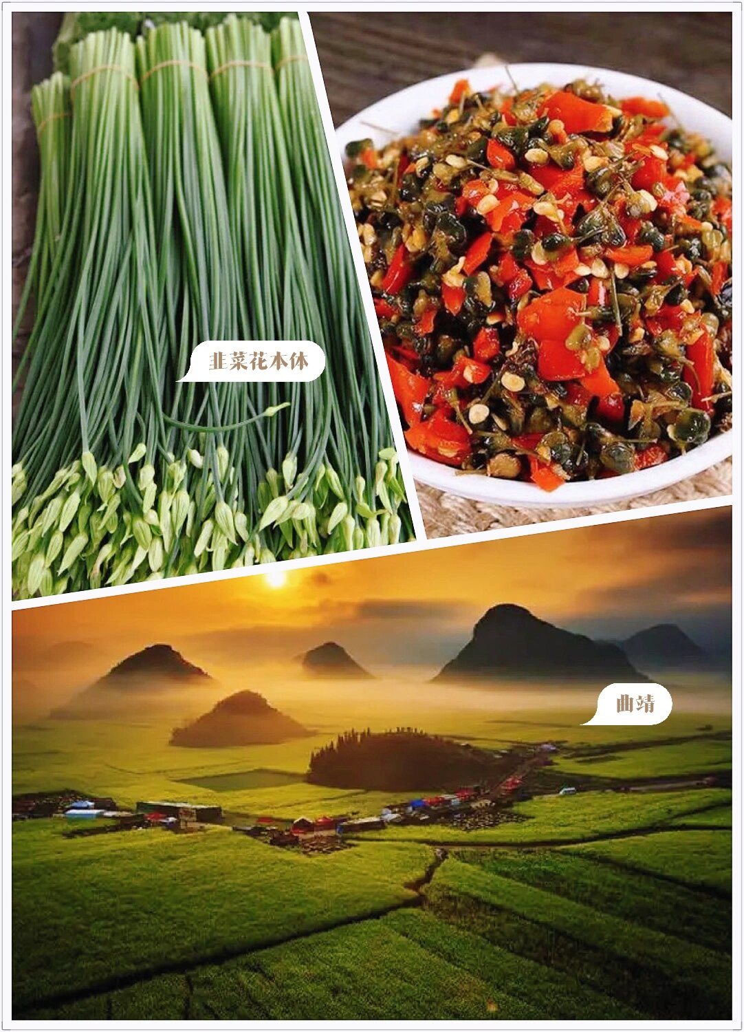 曲靖韭菜花 韭菜花是很常见一种咸菜,像北京人会放韭菜花吃涮羊肉