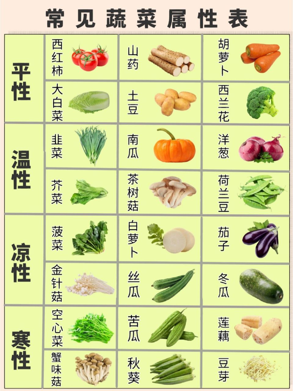 菜的种类图片和名字图片