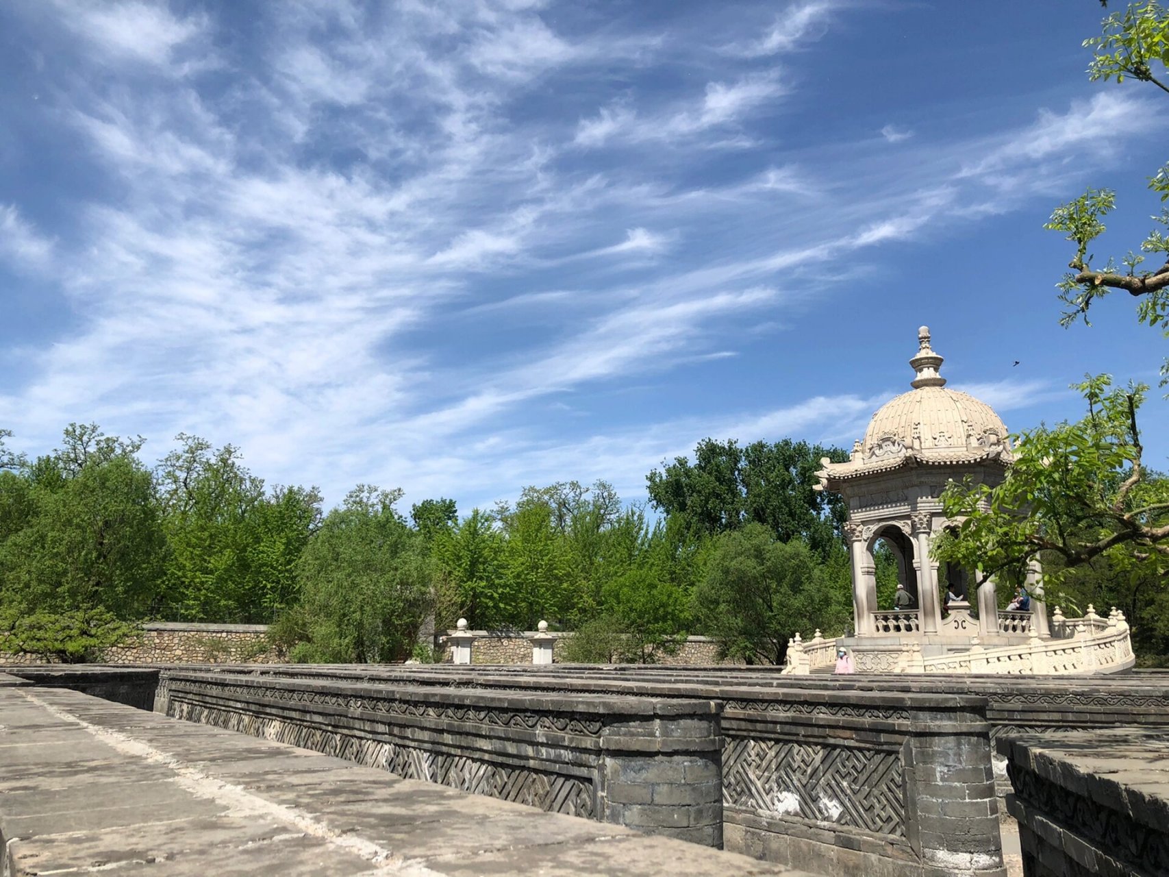 有历史沧桑感的圆明园遗址公园之黄花阵迷宫