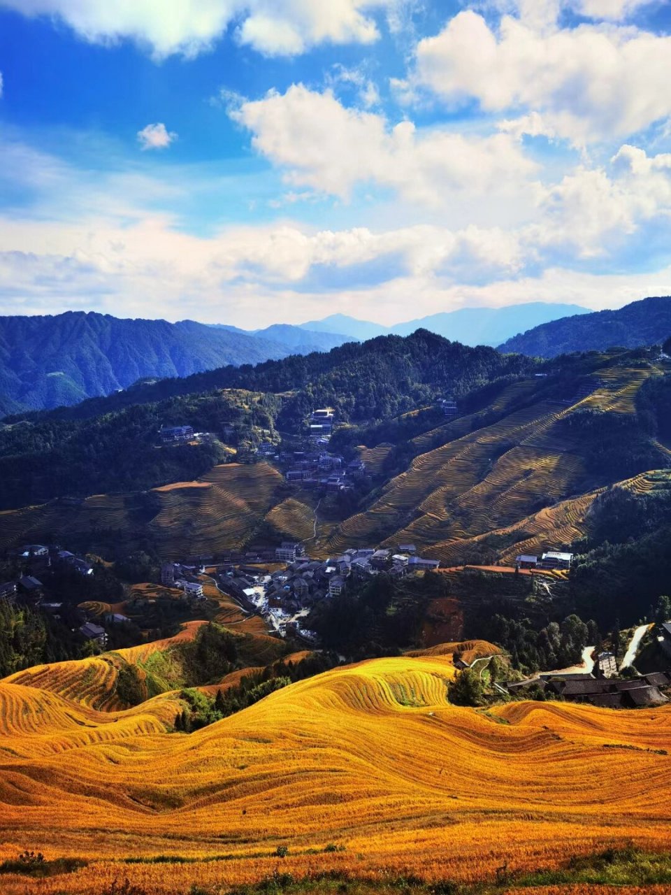 金秋的广西桂林~龙脊梯田‖风景如诗美如画 龙脊梯田,是指在龙脊山上