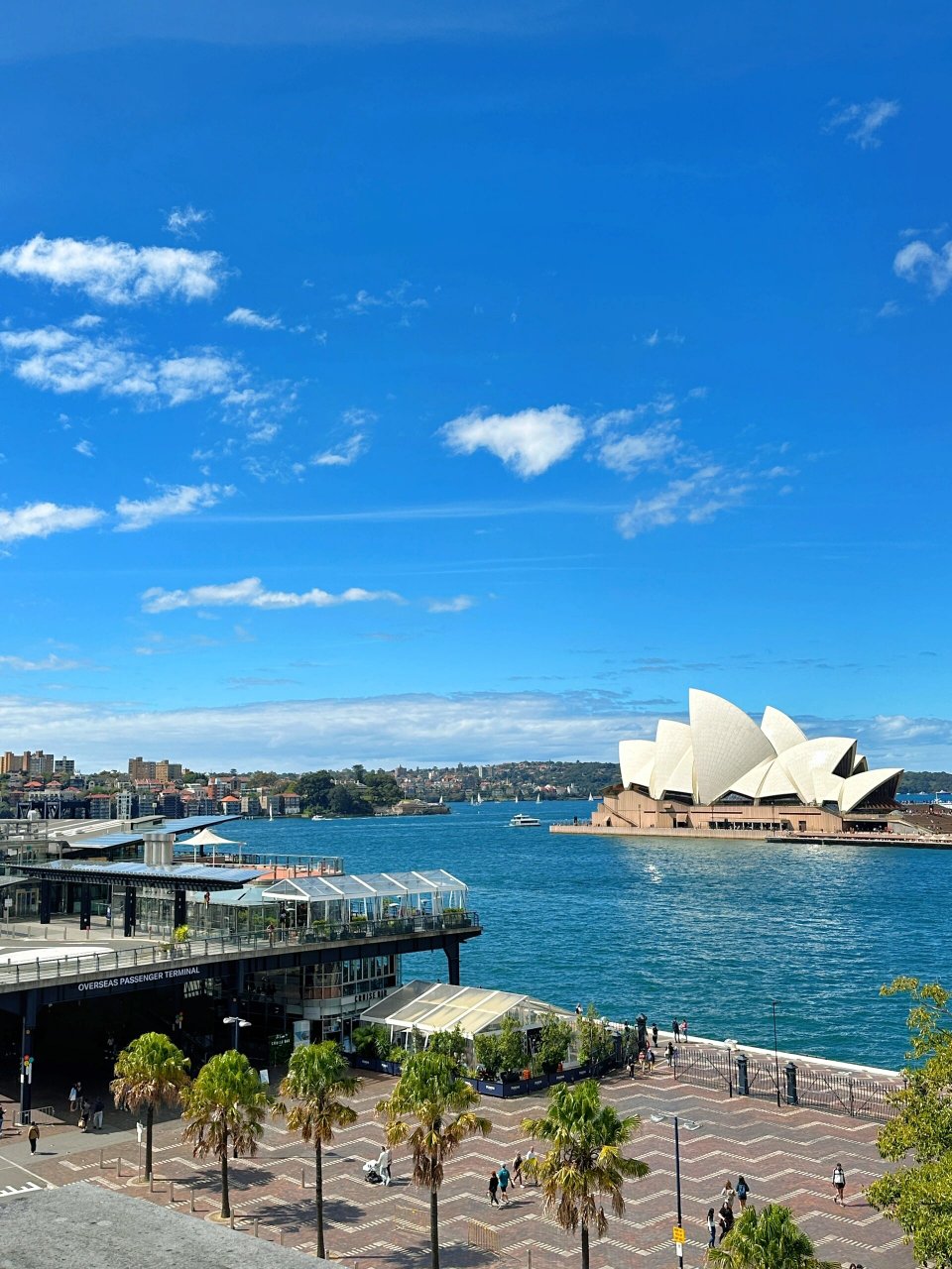 每一次来环形码头这边都要拍两张游客照,今天终于找到一个新的宝藏