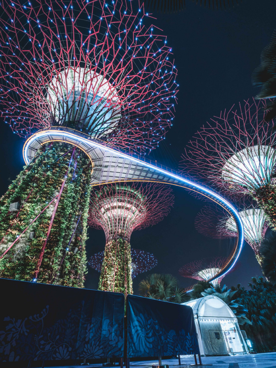 新加坡夜景滨海湾花园图片