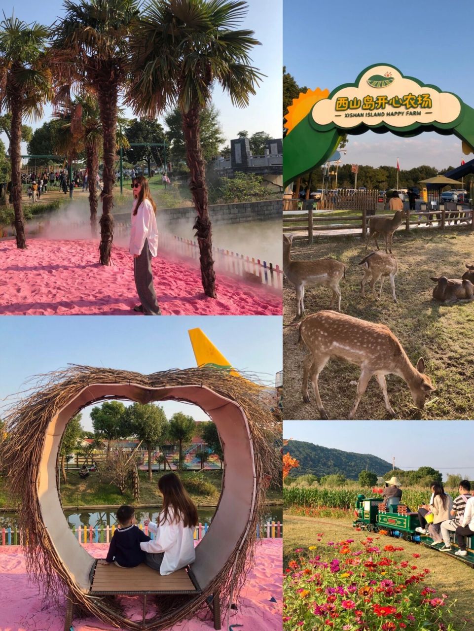 苏州太湖旅游景点97西山岛开心农场粉色沙滩 99地点:太湖·西山岛