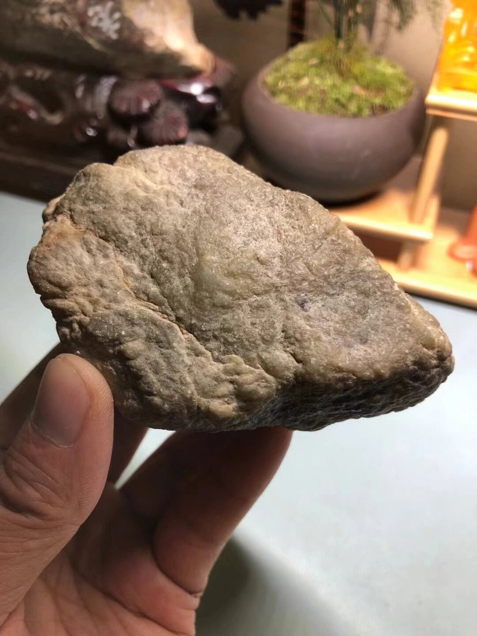 「佐伟珠宝」莫西沙脱沙翡翠原石 hk-61 469g 莫西沙脱沙料 老象皮