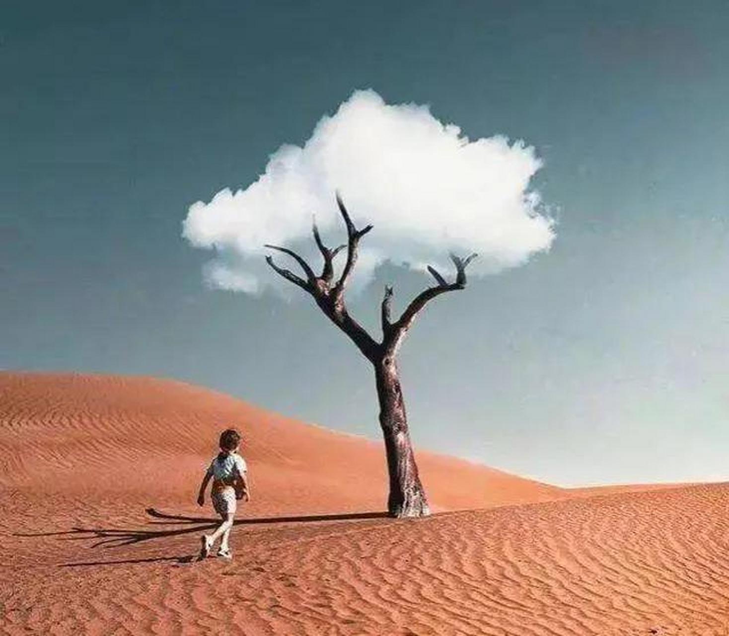 请用一句话概括一下什么是人生 一个人的一生,自他出生的那一天,就已