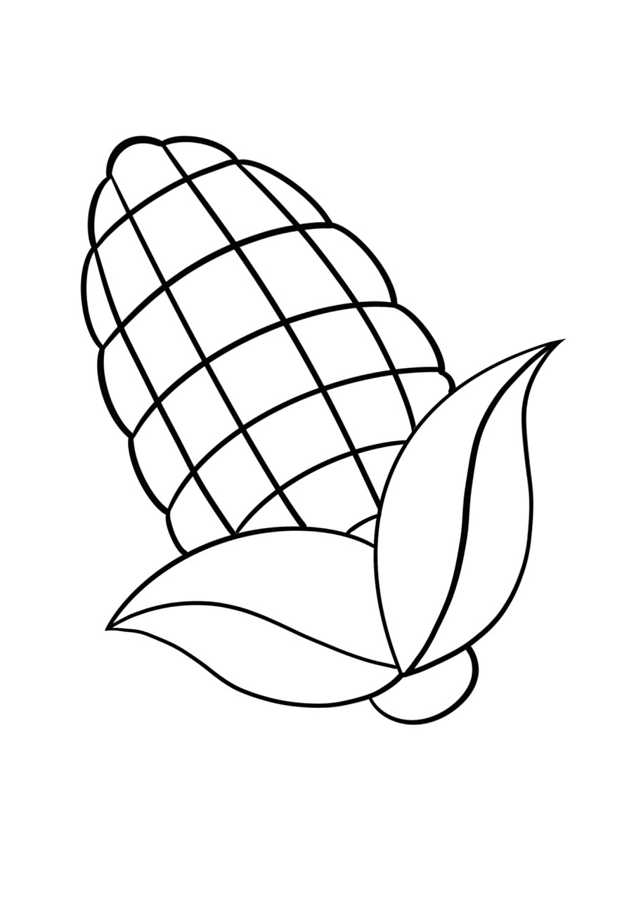 简笔画教程分享 玉米