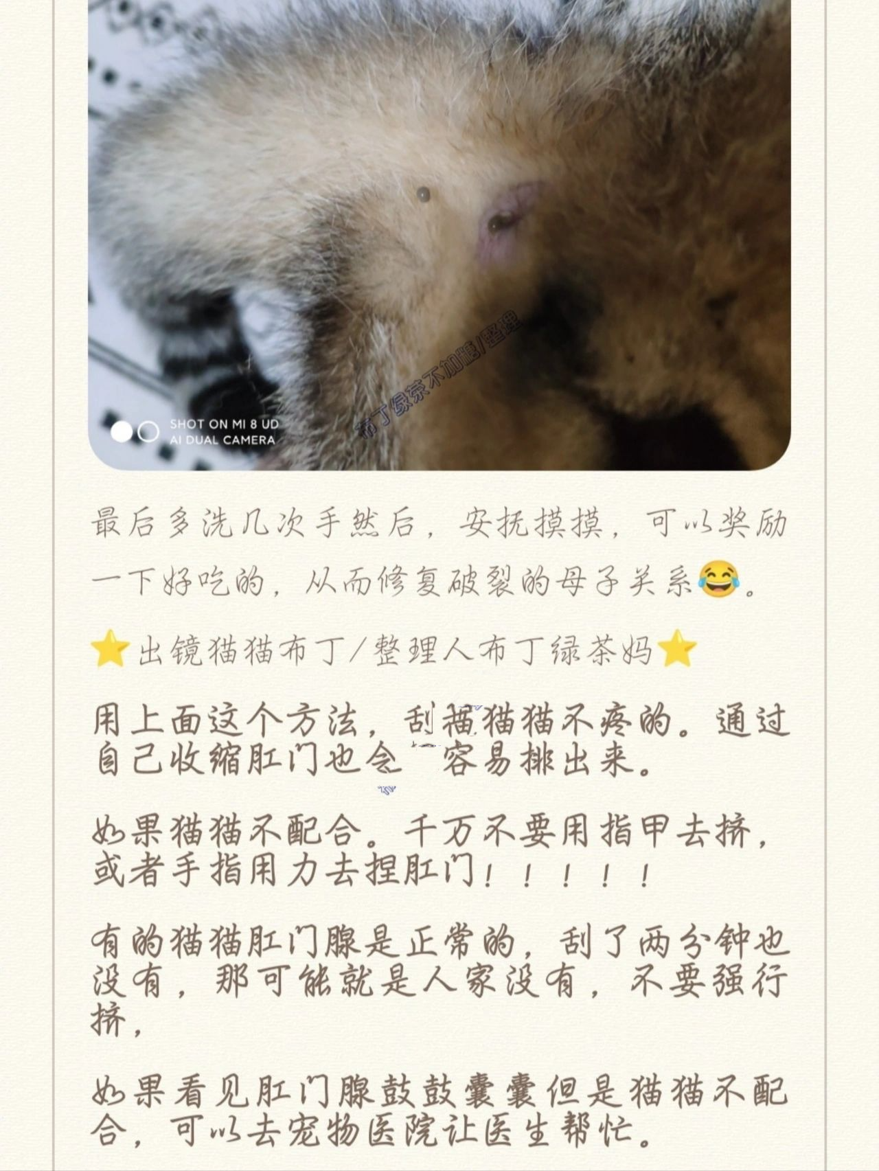 猫咪肛门腺怎么挤图片