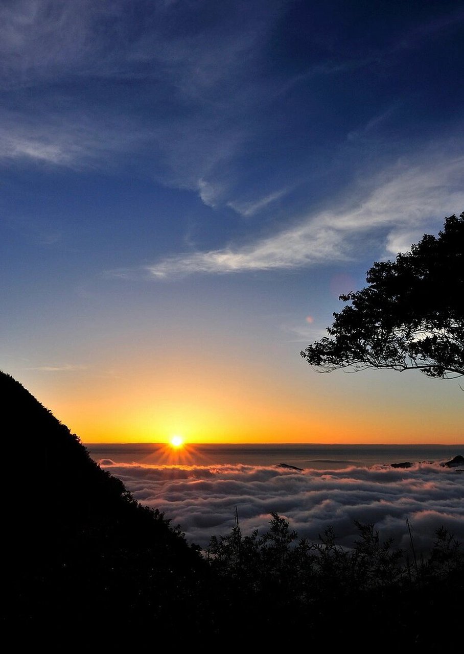 臺灣阿里山地處海拔高度為2216米,高山地區天氣涼爽,是臺灣著名的