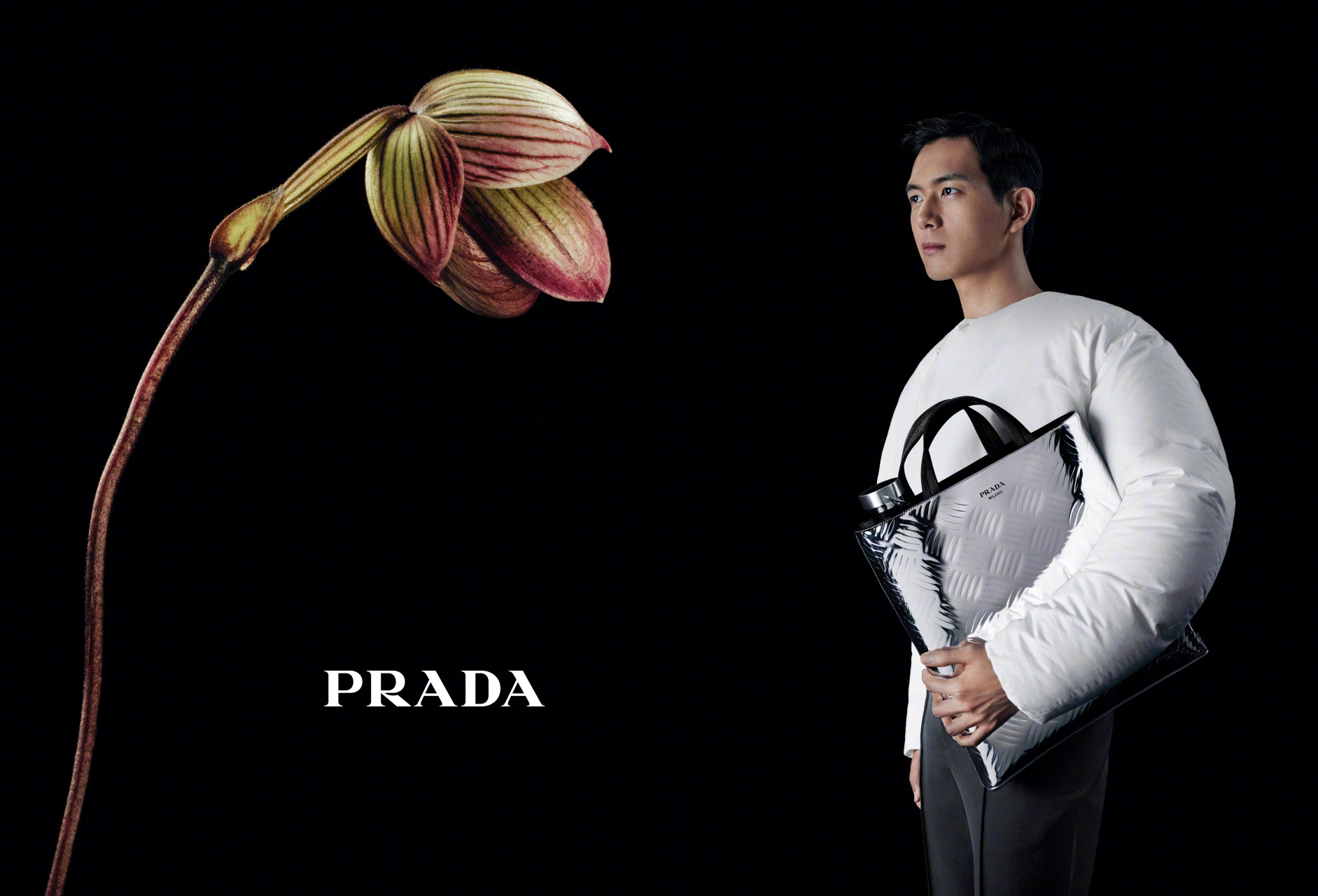 prada 以「与花对话」为题,拍摄了一组2023秋冬系列广告大片.
