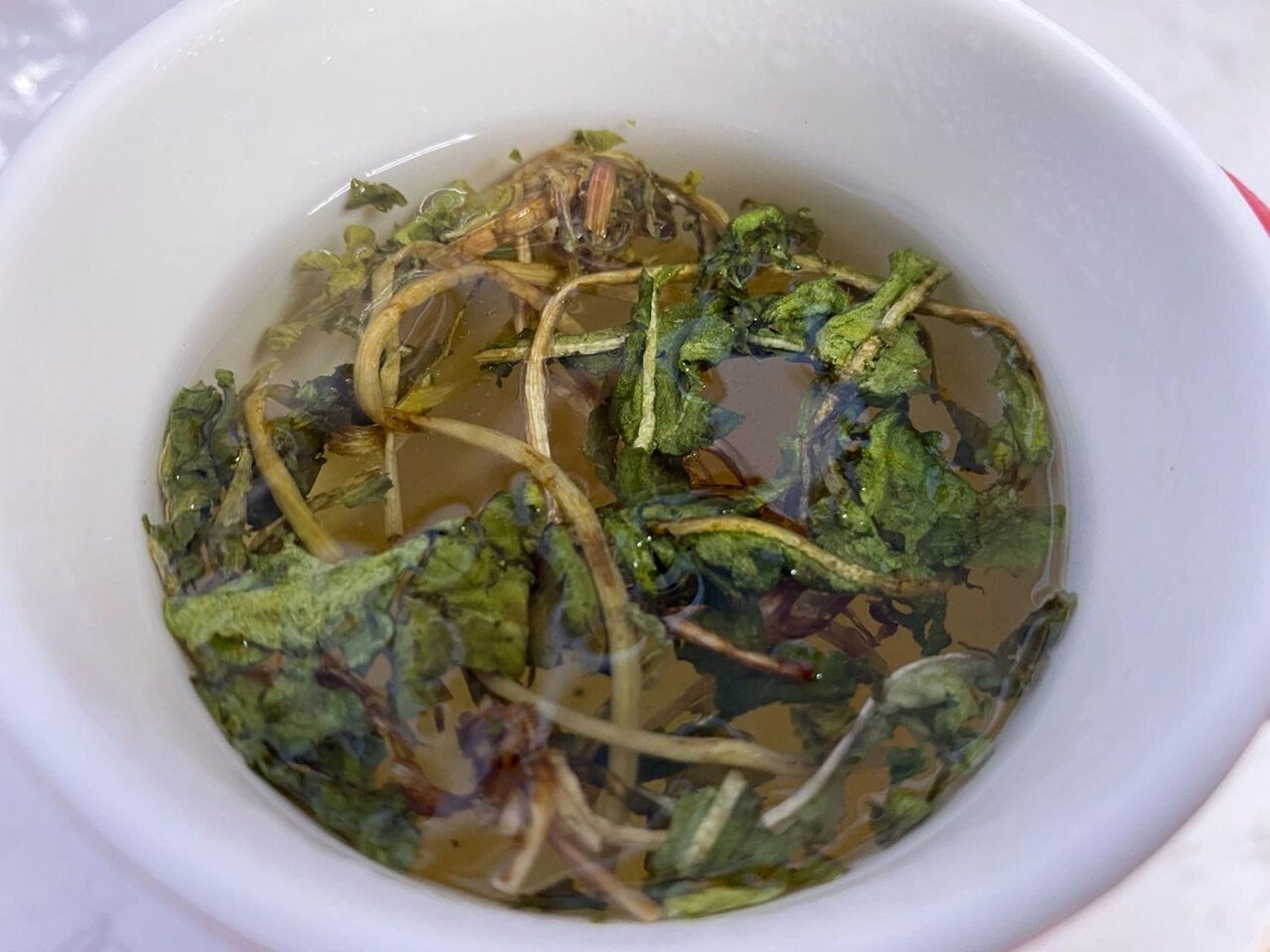 胃寒的少量饮用 08 晒干的蒲公英泡水喝真是我得本命!