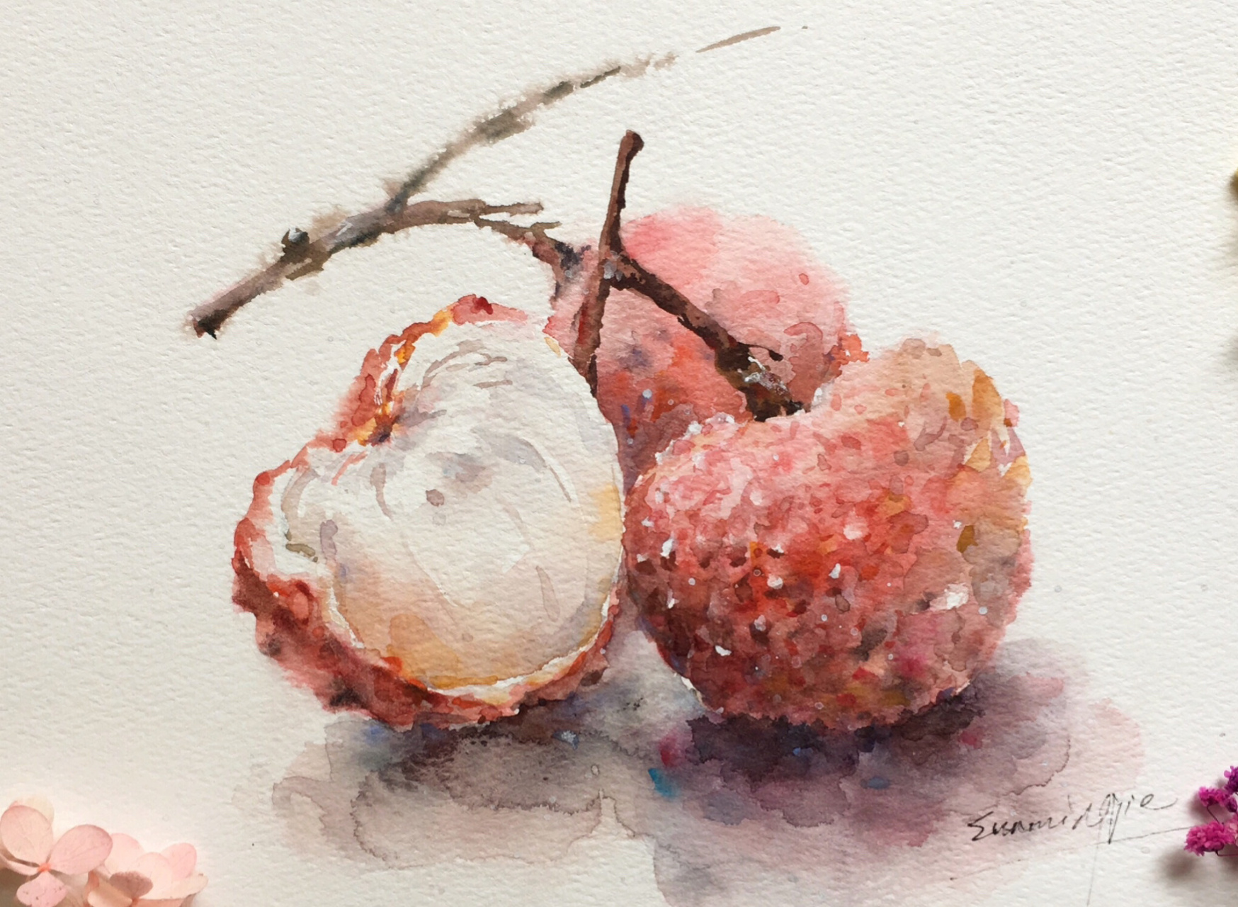 画一枝水彩荔枝,不怕嘴里苦了