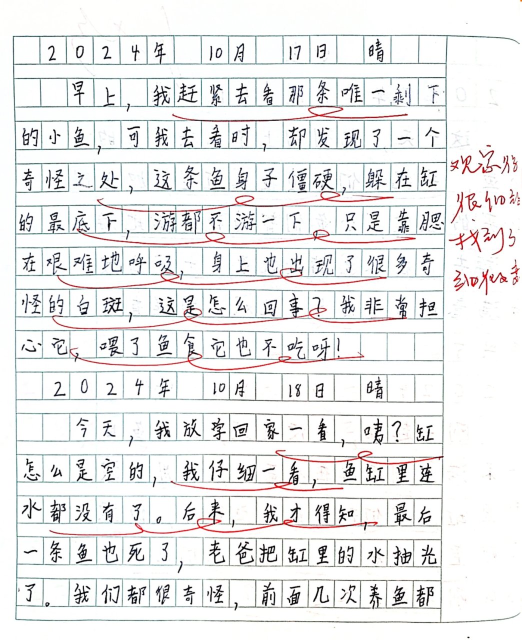 四年级上册观察日记100字(四年级上册写观察日记作文100字)
