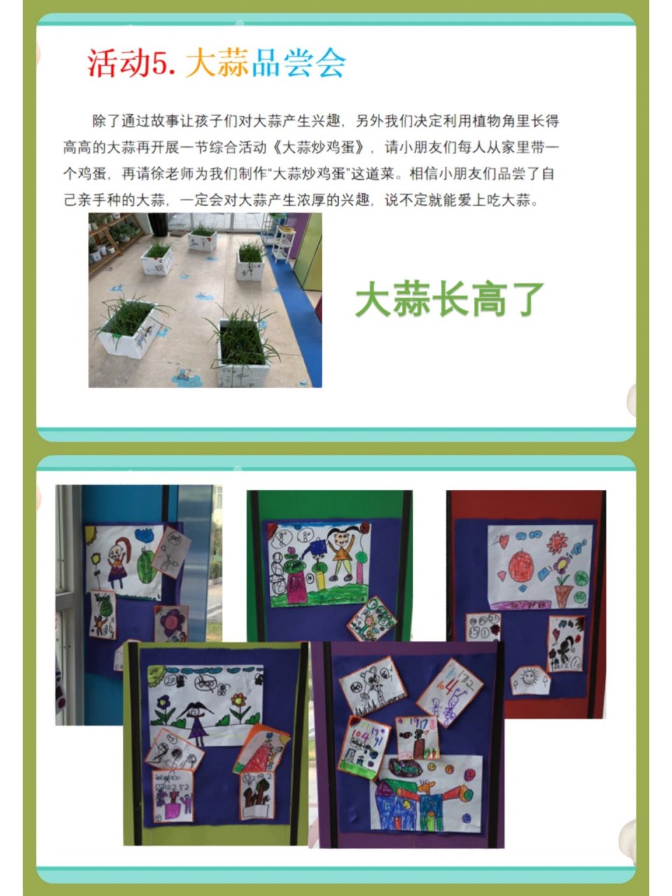 幼儿园大班班本课程:大蒜的秘密 大班班本课程故事～ 🉑️编辑,可