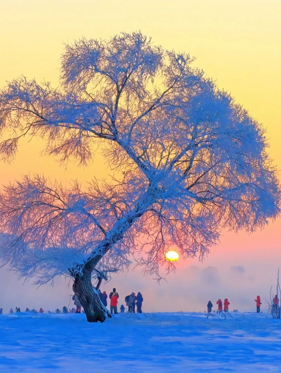 吉林市旅游攻略 东北雪景,吉林雾凇岛.
