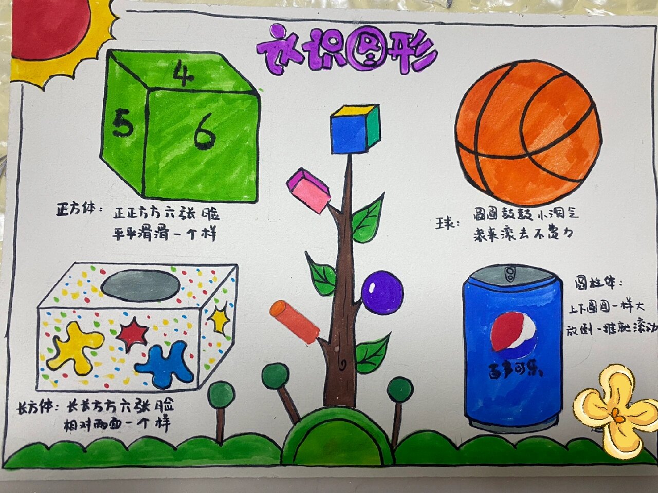 关于小学数学图形认识动画视频（一年级）的信息